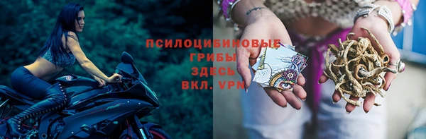 дживик Арсеньев