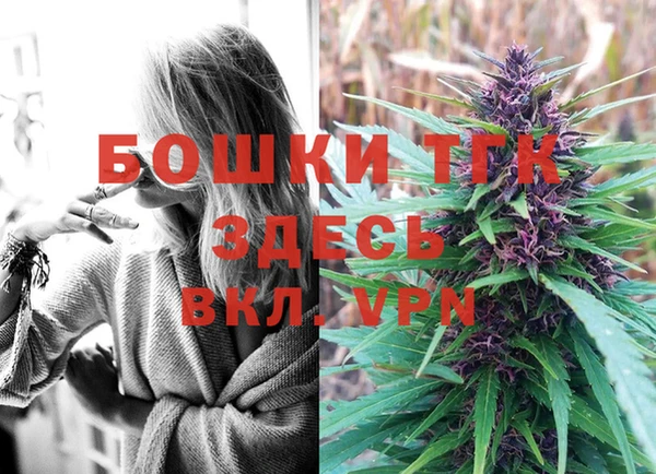 дживик Арсеньев