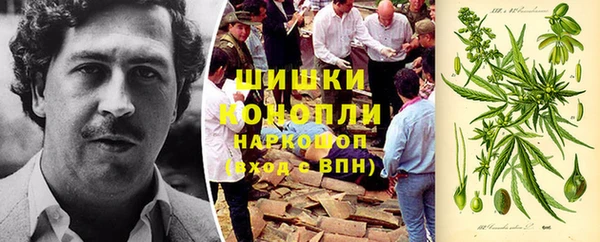 дживик Арсеньев