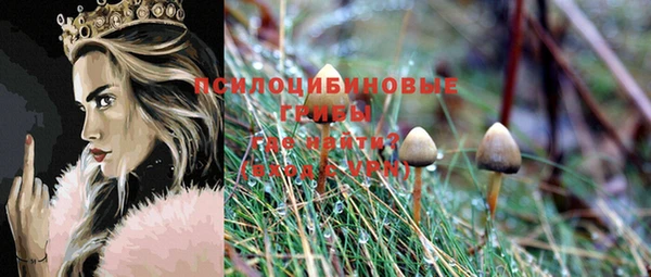 дживик Арсеньев