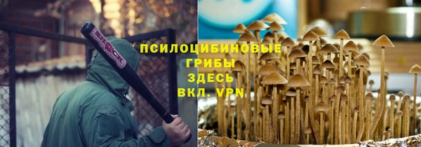 ALPHA PVP Аркадак